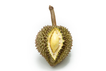 ドリアンフルーツ白背景