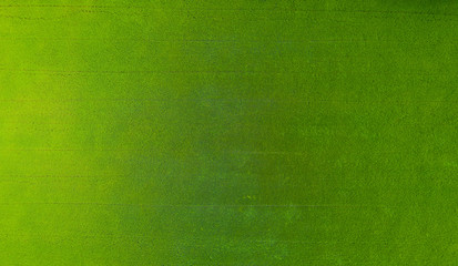 aerial view from flying drone of Field rice with landscape green pattern nature background, top view field rice
