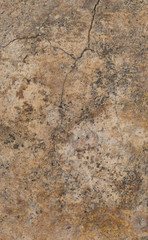 abstract background, wall texture, mortar background, cement texture
