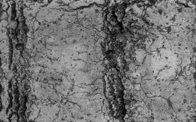 abstract background, wall texture, mortar background, cement texture
