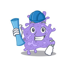 Cartoon character of staphylococcus aureus brainy Architect with blue prints and blue helmet