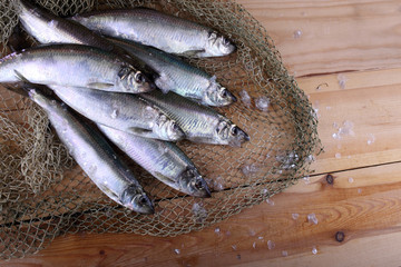 Herring on net