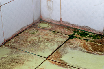 Accumulation stains dense on surface of the floor is spread of disease and bacteria.
