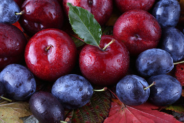 Plums on autumn leaves