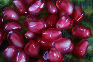 Pomegranate. Macro