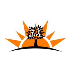 Tree silhouette icon with sun isolated on white background