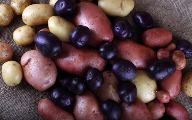 Potatoes on bagging