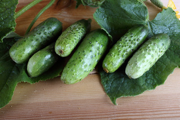 Cucumbers on table