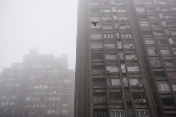 BIrd flying among socialism architecture residental building covered as heavy fog of pollution