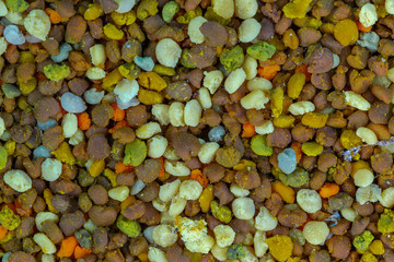 Freshly picked multi-colored bee pollen close-up. bee pollen texture, background