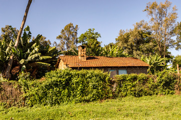 A cabin - Cottage - in the forest with surrounding greenery in an African village.