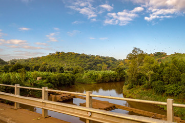 Fototapeta na wymiar view of a river and a tropical landscape