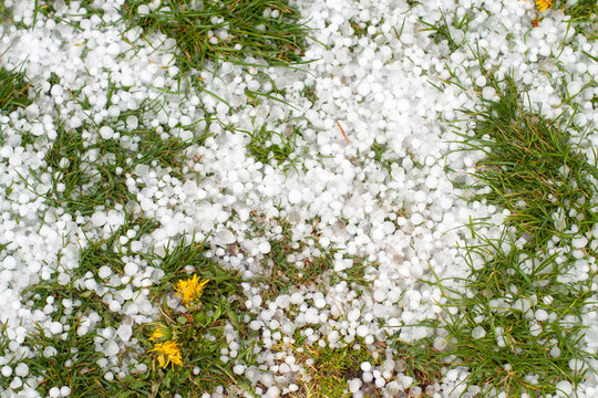 Severe weather. Hail on green grass