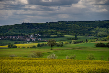 Landschaft bei Waldalgesheim