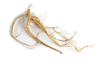 Ginseng isolated on white background