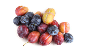 Plums and nectarines