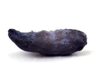 Haskap berry isolated on white