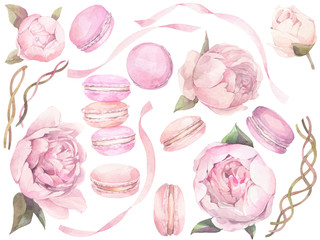 Set of macaroons and peonies. Hand painted watercolor illustration. 