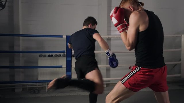 Concentrated sportsmen low kick lowkick fighting at boxing ring. Athletic men fighting on a kickboxing match in a health club. Sport, competition concept