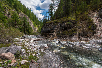 A small mountain river flows through the gorge. A lot of stones in the riverbed and forests along the edges. Horizontal.
