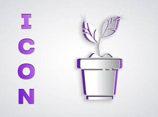 Paper cut Plant in pot icon isolated on grey background. Plant growing in a pot. Potted plant sign. Paper art style. Vector Illustration
