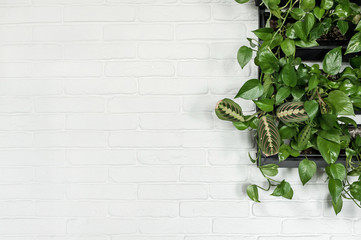 white brick wall with greenery around the edges