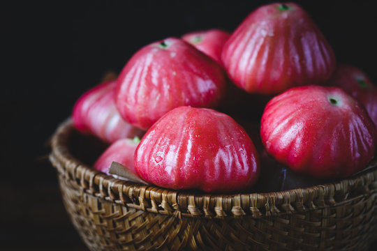 Syzygium Bilder Durchsuchen 5,577 Archivfotos, und
