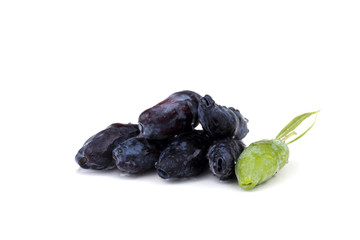 Haskap berry isolated on white