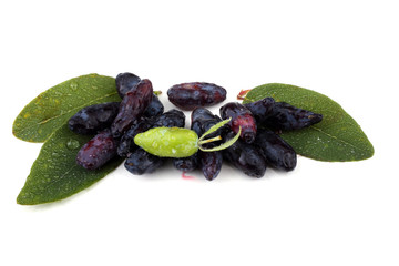 Haskap berry isolated on white