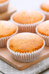 Homemade cupcakes on the table.