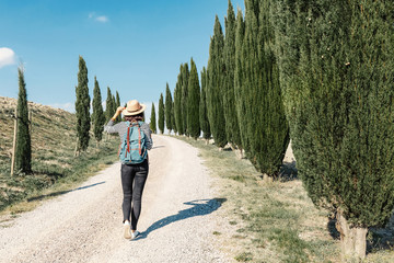 girl with backpack walks along a village path in an alley of planted cypresses in Tuscany. The...