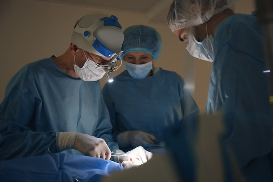 Professional doctors performing