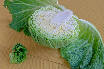 cabbage angel handled his wings