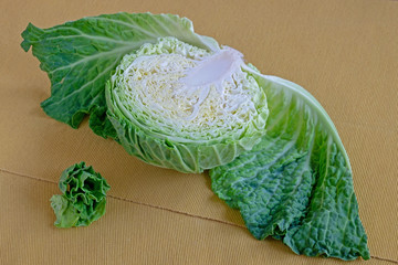 cabbage angel handled his wings