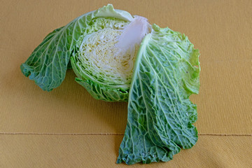 cabbage angel handled his wings