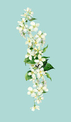 Watercolor composition of white jasmine flowers
