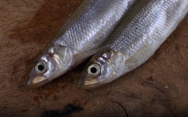 Obraz premium Smelt fish on cutting board