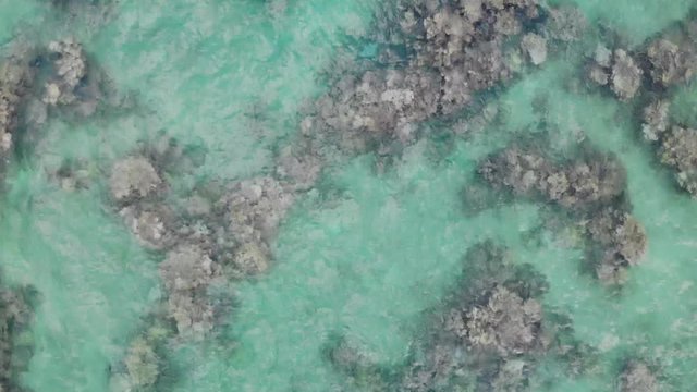 4K zenith drone footage of coral reef at shoreline in Lanikai beach park, Oahu, Hawaii, USA.
Traveling movement.