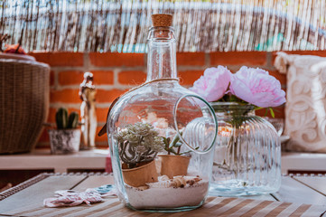 Bottle filled with green plants