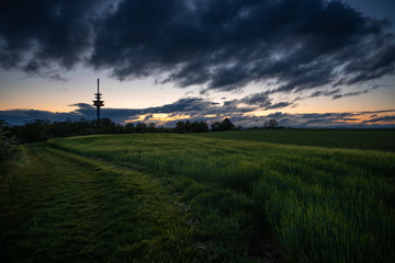 Rheinhessen am 30. April 2020