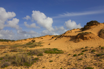Fototapeta na wymiar Wüste an der Rota Vicentina an der Atlantikküste in Portugal 