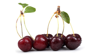 Cherry isolated on white background