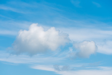 Fluffy cloud and a blue sky background