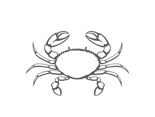 Crab logo. Isolated crab on white background