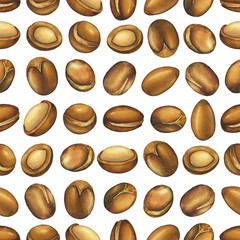 Seamless pattern of watercolor argan fruits. Hand painted design