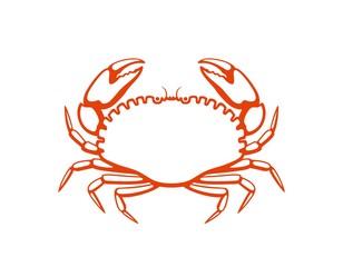 Crab logo. Isolated crab on white background