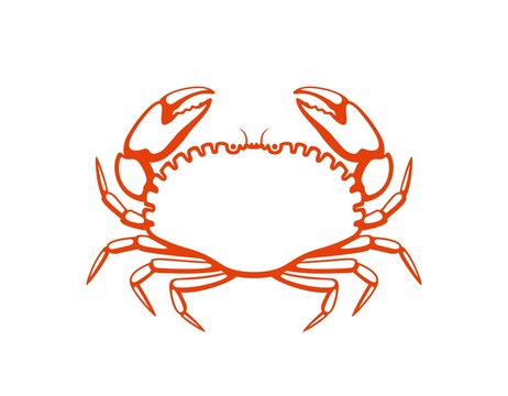 recommend clip art: Crab logo. Isolated crab on white background