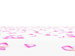 Many flower petals blown 3d