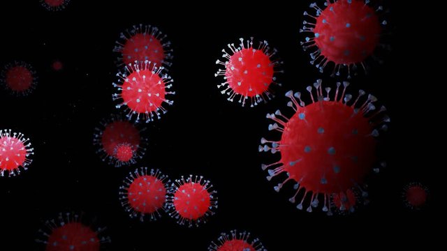 close-up coronavirus type covid-19, h1n1, bird flu or swine flu move smoothly in fluid 3d representation of virus as microbiological microscopic looped background. Red blue gradient 20