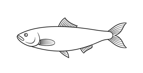 Fototapeta premium Herring outline. Isolated herring on white background